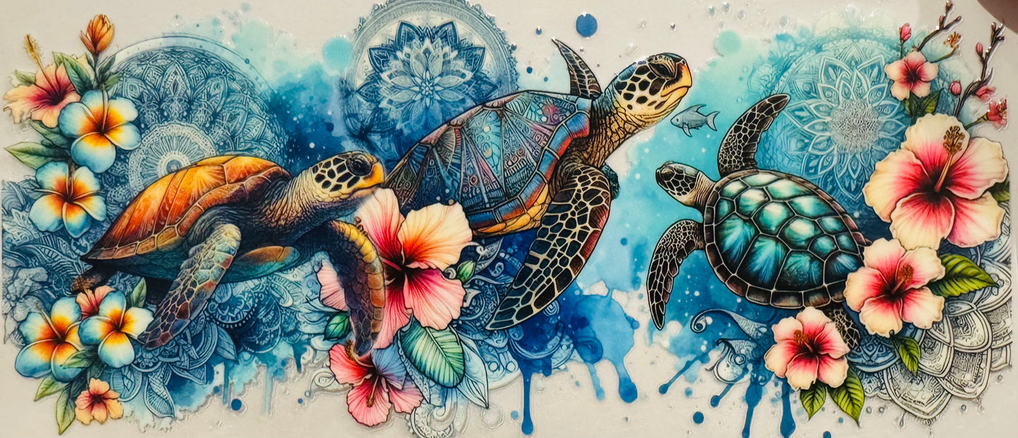 Sea Turtles 🐢
