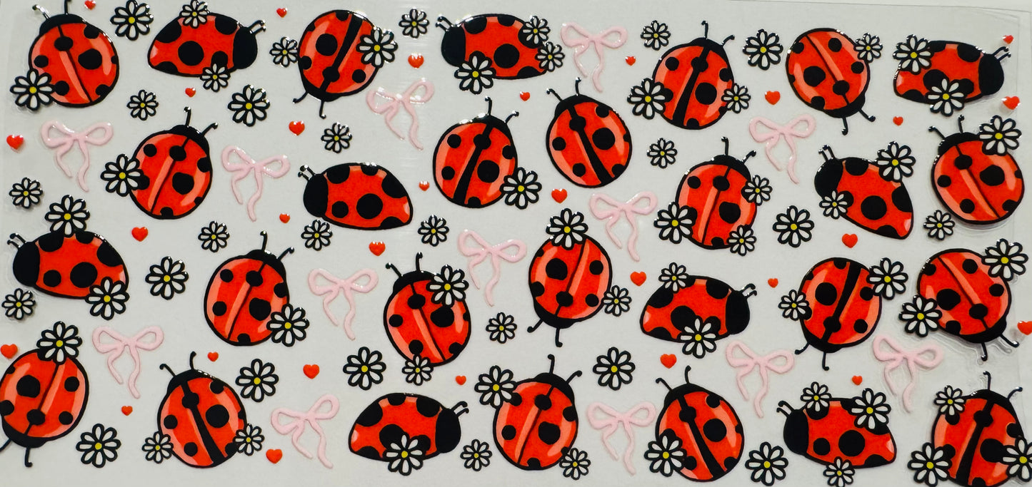 Lady Bug / Bows