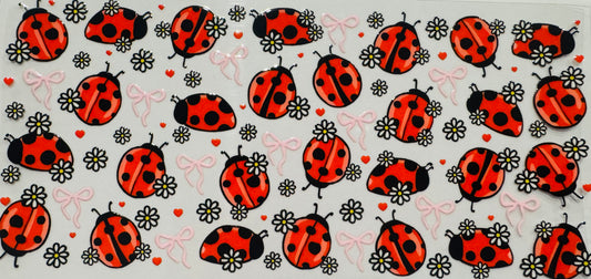 Lady Bug / Bows