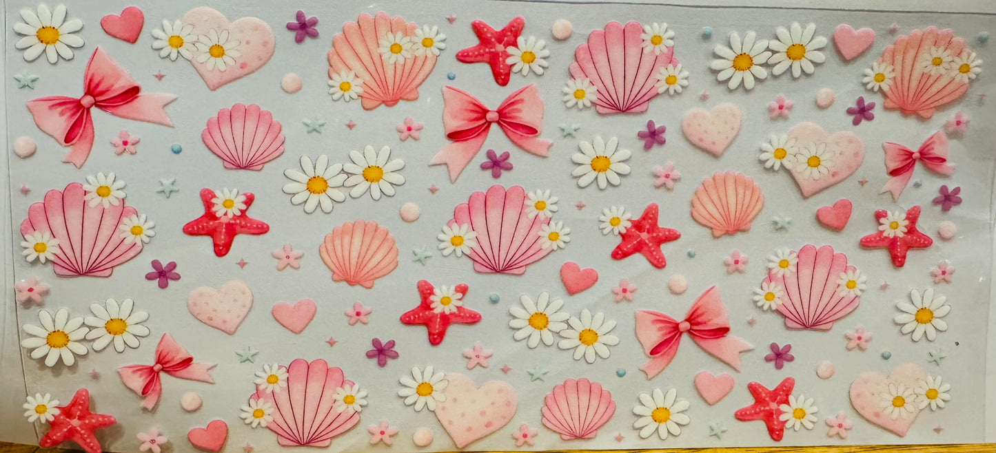 Shells 🐚