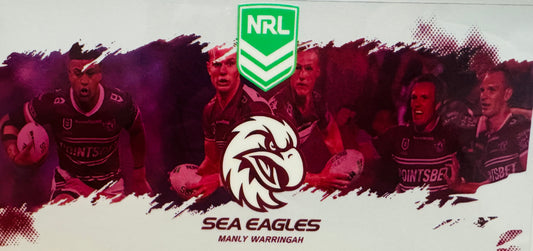 Sea Eagles  Footy 🦅