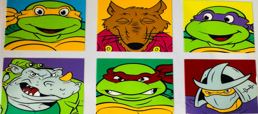 Ninja Turtles - Libby Wraps