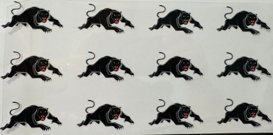 Panthers - Footy wraps