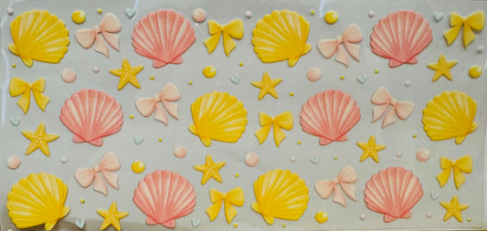 Shells 🐚