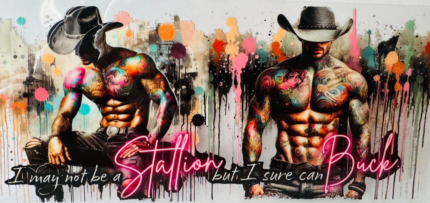 I may not be a Stallion - Quotes - Libby Wraps